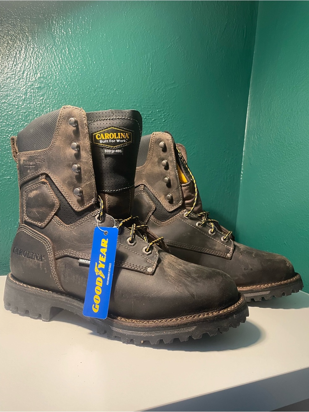 NWT Carolina Men’s Brown Waterproof Work Boots